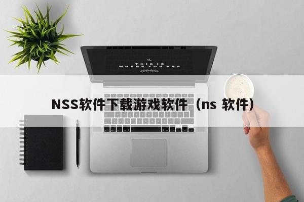 NSS软件下载游戏软件（ns 软件）