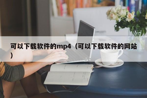 可以下载软件的mp4（可以下载软件的网站）
