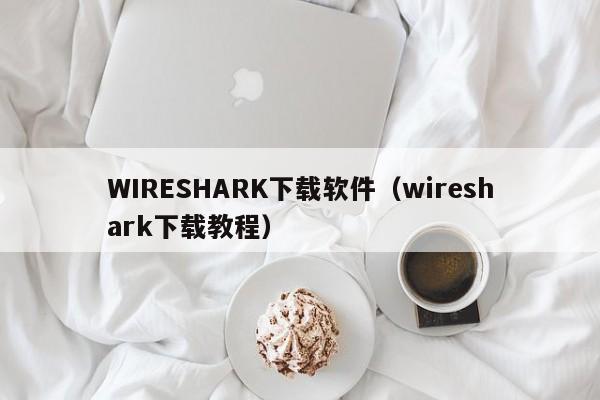 WIRESHARK下载软件（wireshark下载教程）