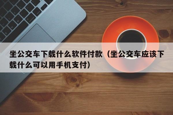 坐公交车下载什么软件付款（坐公交车应该下载什么可以用手机支付）