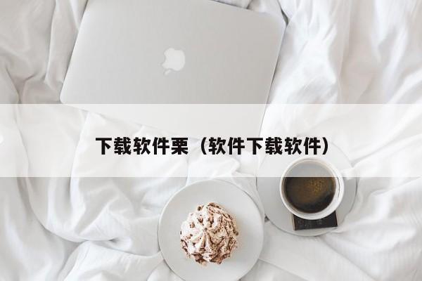 下载软件栗（软件下载软件）