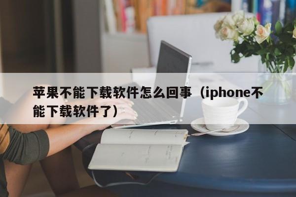 苹果不能下载软件怎么回事（iphone不能下载软件了）