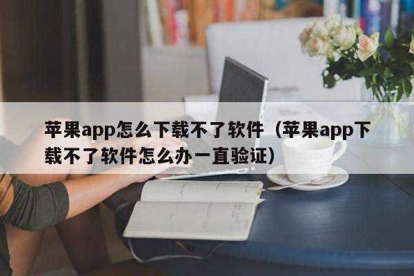 苹果app怎么下载不了软件（苹果app下载不了软件怎么办一直验证）