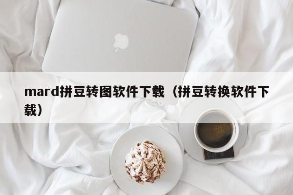 mard拼豆转图软件下载（拼豆转换软件下载）