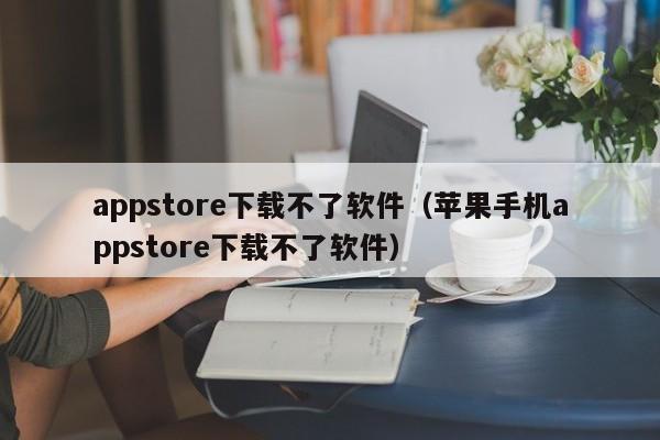 appstore下载不了软件（苹果手机appstore下载不了软件）