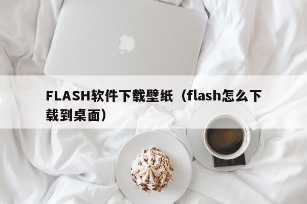 FLASH软件下载壁纸（flash怎么下载到桌面）