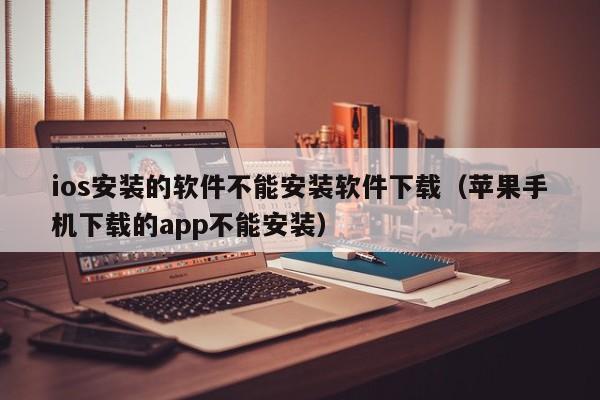 ios安装的软件不能安装软件下载（苹果手机下载的app不能安装）