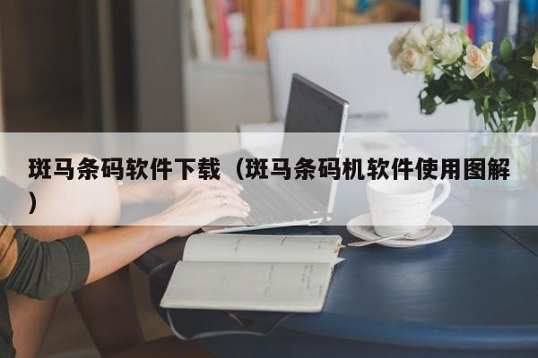 斑马条码软件下载（斑马条码机软件使用图解）