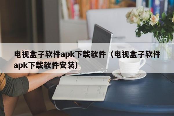电视盒子软件apk下载软件（电视盒子软件apk下载软件安装）