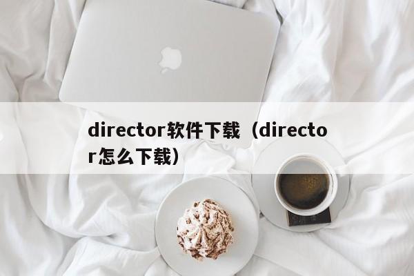 director软件下载（director怎么下载）