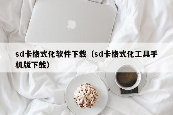 sd卡格式化软件下载（sd卡格式化工具手机版下载）