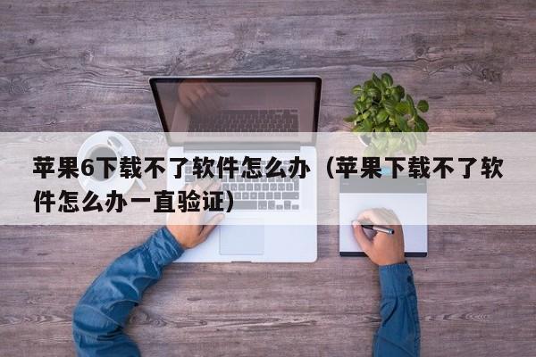 苹果6下载不了软件怎么办（苹果下载不了软件怎么办一直验证）
