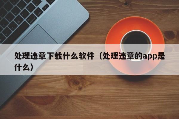处理违章下载什么软件（处理违章的app是什么）