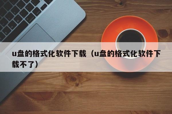u盘的格式化软件下载（u盘的格式化软件下载不了）